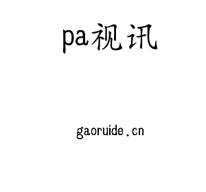 广东pa视讯智能科技股份有限公司